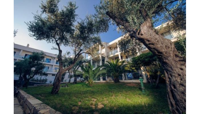 Hotel Vile Oliva poza 3